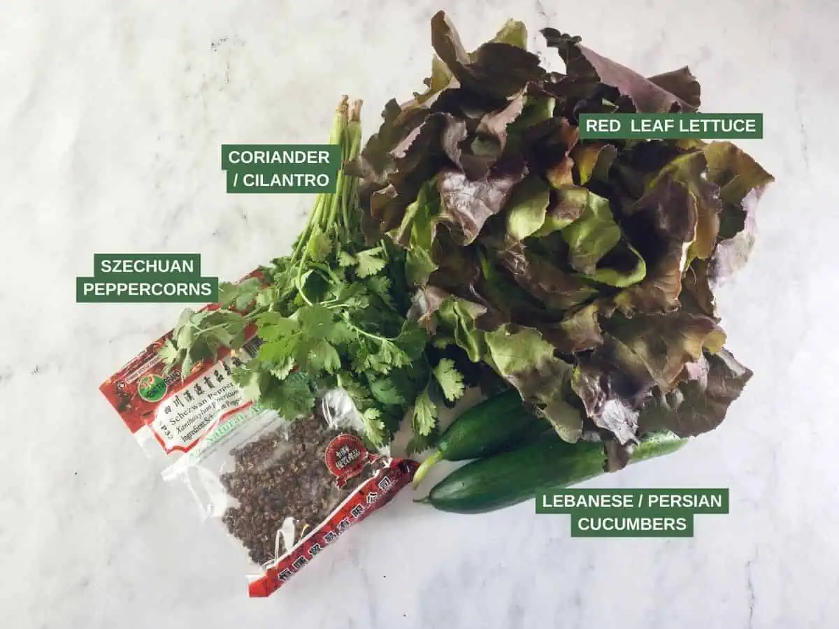 Labelled ingredients needed to make szechuan cucumber salad.