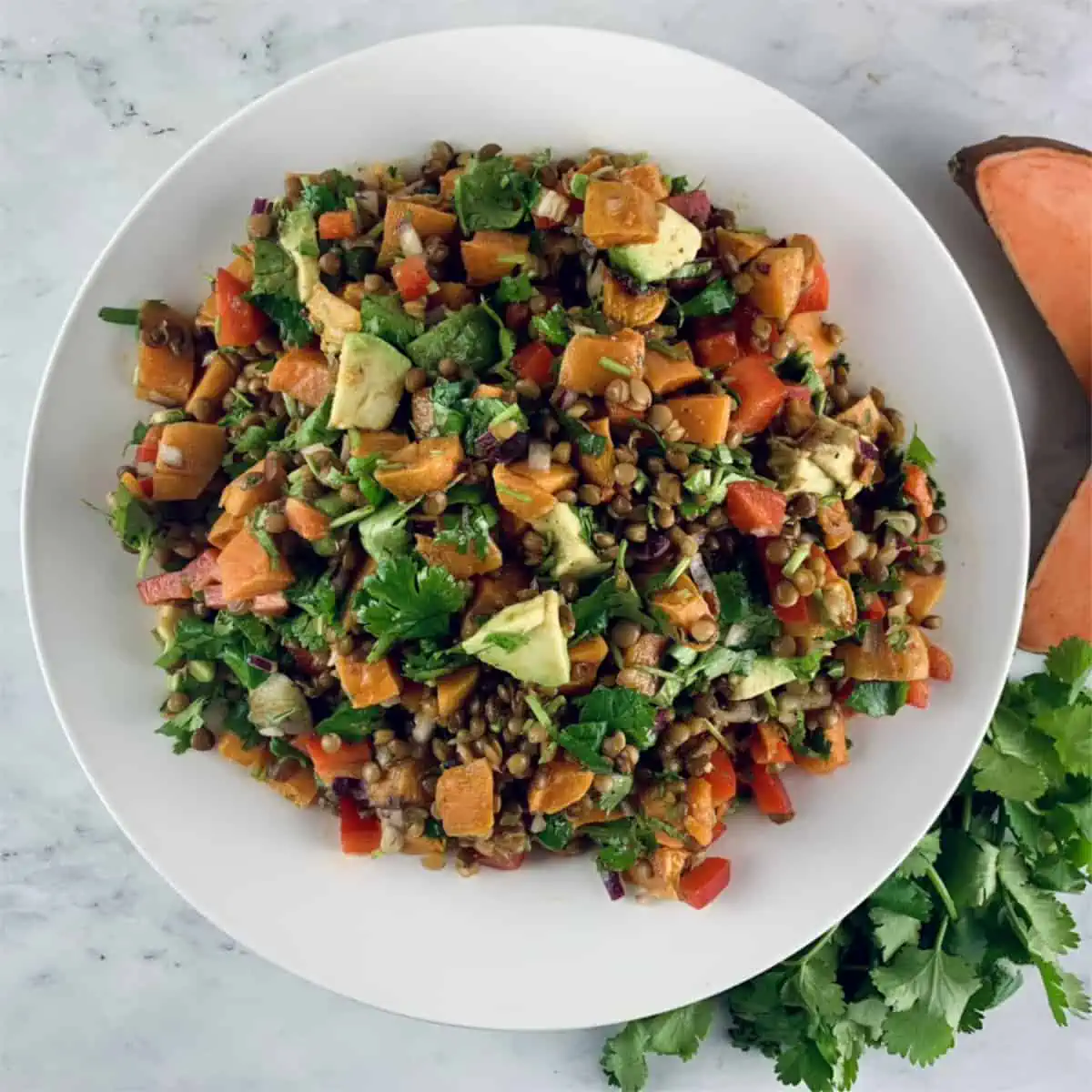 Lentil sweet potato salad in a white bowl with sweet potato halves and coriander/cilantro sprigs on the side.